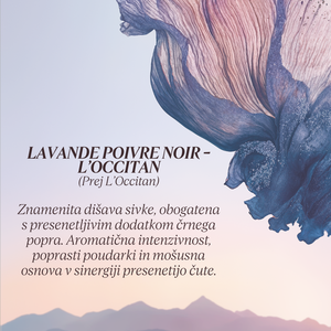 Grafika z opisom dišave kolekcije Flora Orchestra L'Occitane - Lavande Poivre Noir