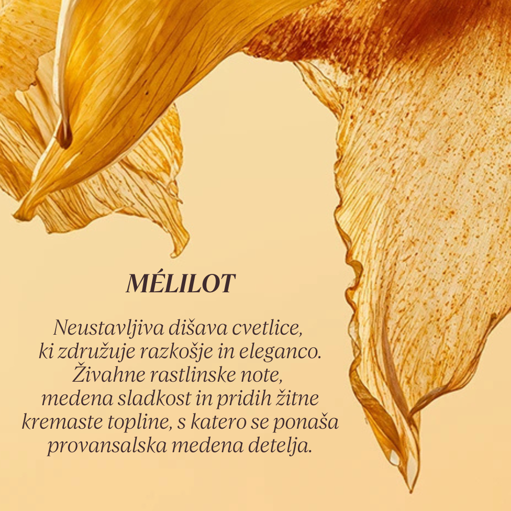 Grafika z opisom dišave kolekcije Flora Orchestra L'Occitane - Melilot