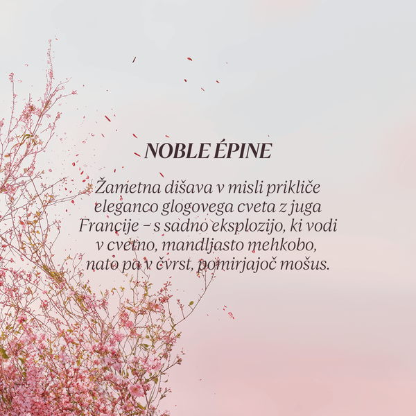 Grafika z opisom dišave kolekcije Flora Orchestra L'Occitane - Noble Epine