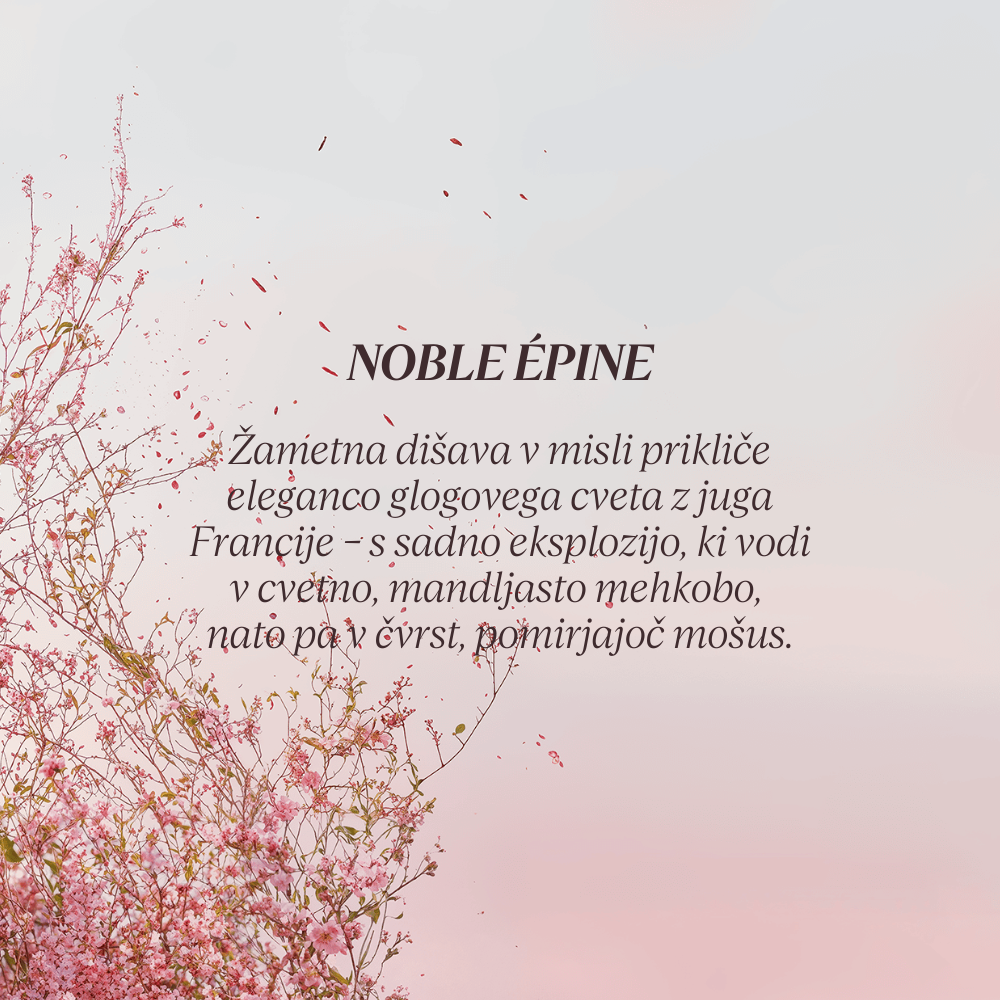 Grafika z opisom dišave kolekcije Flora Orchestra L'Occitane - Noble Epine