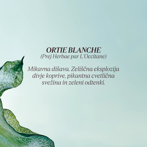 Grafika z opisom dišave kolekcije Flora Orchestra L'Occitane - Ortie Blanche