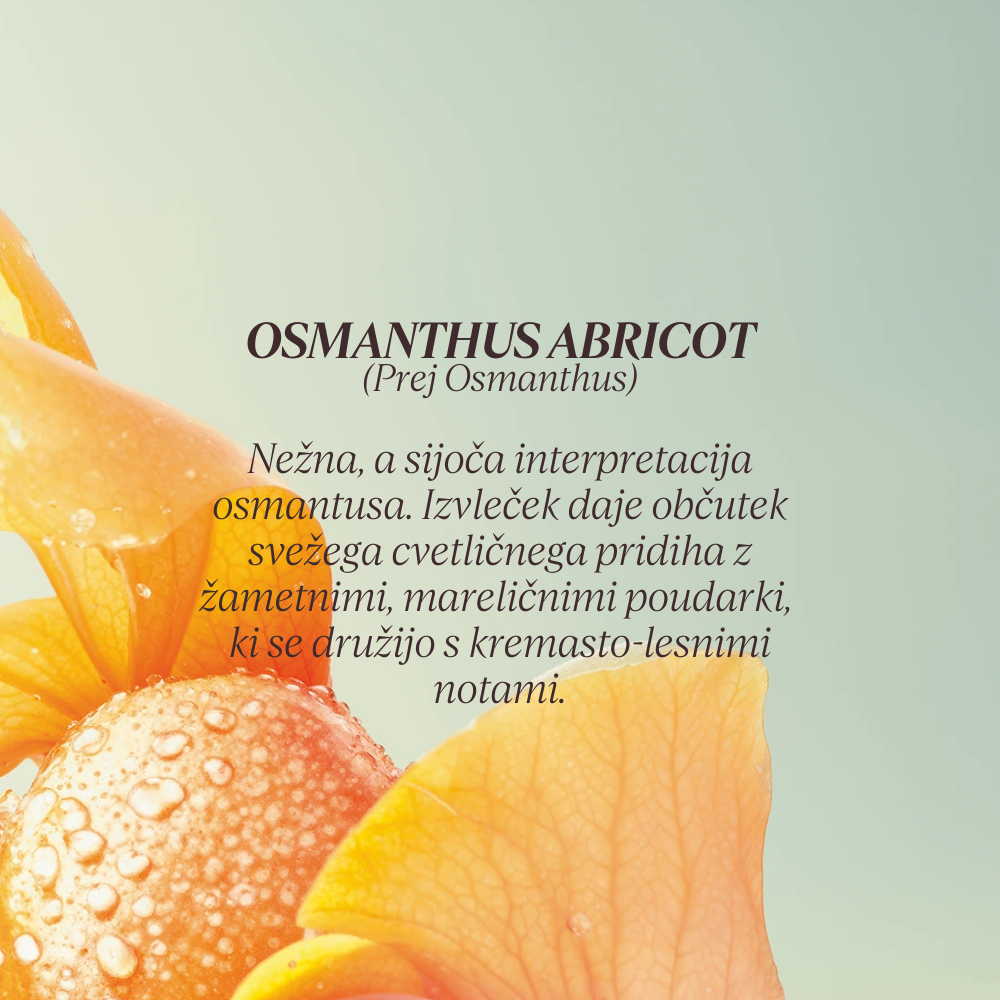 Grafika z opisom dišave kolekcije Flora Orchestra L'Occitane - Osmanthus Abricot