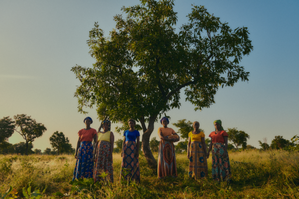 Pridelovalci sestavin izdelkov L'Occitane