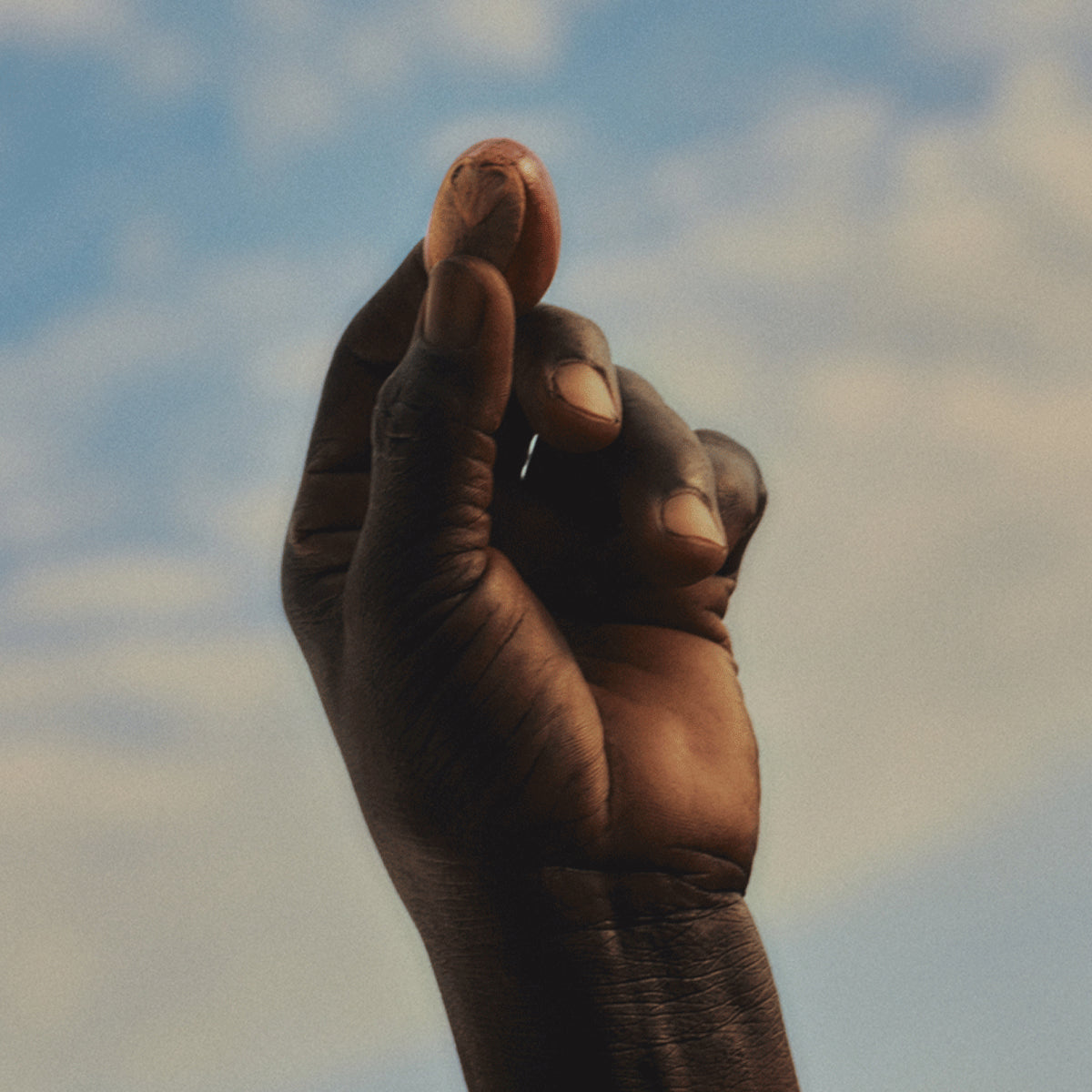 Orešček karitejevega masla v rokah - karitejevo maslo je ključna sestavina L'Occitanove kolekcije Karite 