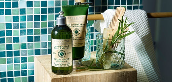 L'Occitane izdelki za nego las 