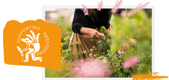 L'Occitanovo sodelovanje s proizvajalci  sestavin - zgodba o zavezah 