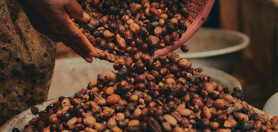 Oreščki - karitejevo maslo - L'OCCITANE 