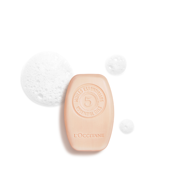 Tekstura Intenzivni obnavljalni trdi šampon  - L'OCCITANE