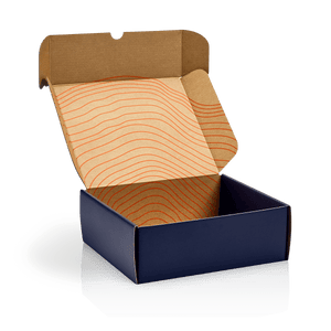 Darilna škatla - modra